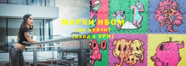дживик Новозыбков